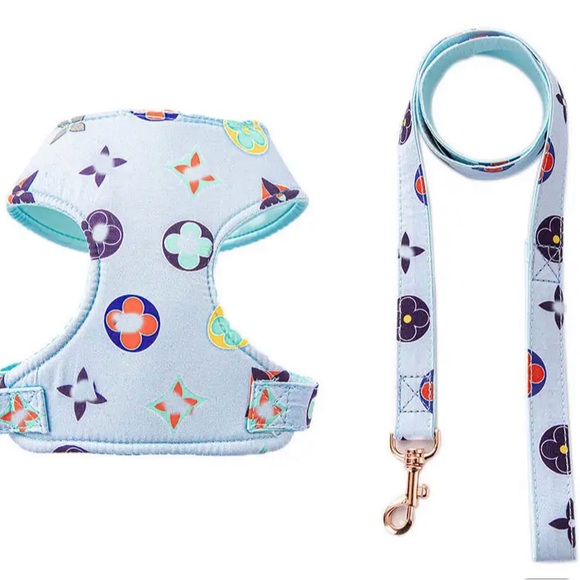 Hot Designer Pet Harness and Leash Set for Dogs or Cats 🐾 - Picture 6 of 7